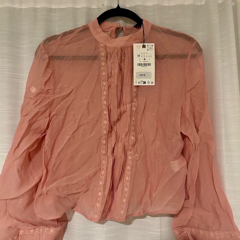 Zara Delicate Pink Sheer Blouse